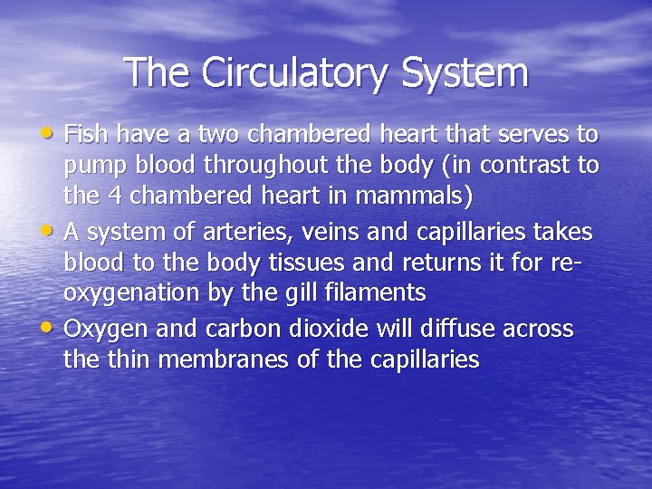 The Circulatory System • Fish have a two chambered heart that serves to •