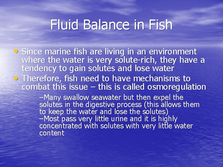 Fluid Balance in Fish • Since marine fish are living in an environment •