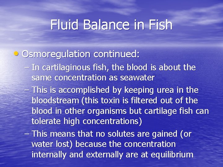 Fluid Balance in Fish • Osmoregulation continued: – In cartilaginous fish, the blood is