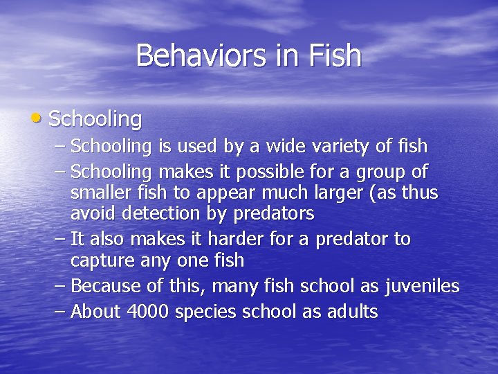 Behaviors in Fish • Schooling – Schooling is used by a wide variety of