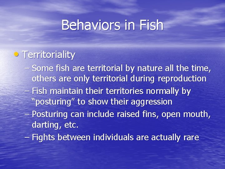 Behaviors in Fish • Territoriality – Some fish are territorial by nature all the