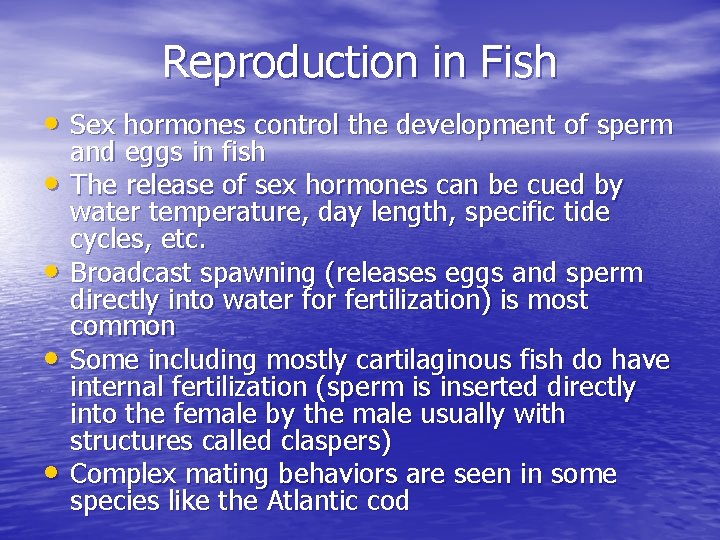 Reproduction in Fish • Sex hormones control the development of sperm • • and