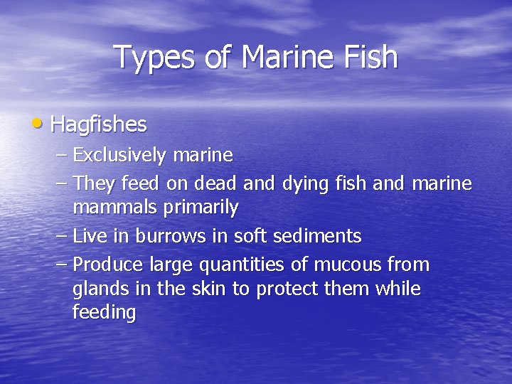 Types of Marine Fish • Hagfishes – Exclusively marine – They feed on dead