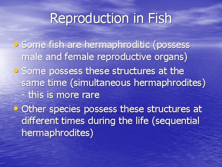 Reproduction in Fish • Some fish are hermaphroditic (possess male and female reproductive organs)