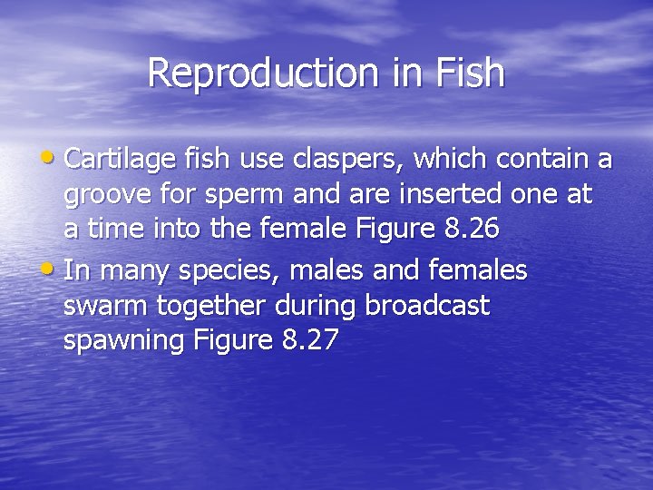 Reproduction in Fish • Cartilage fish use claspers, which contain a groove for sperm