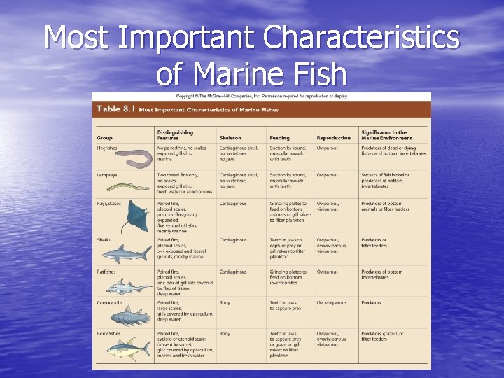 Most Important Characteristics of Marine Fish 