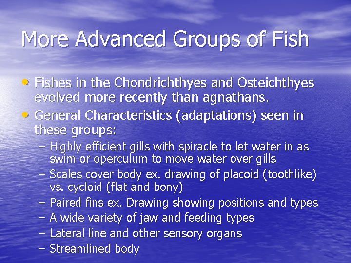 More Advanced Groups of Fish • Fishes in the Chondrichthyes and Osteichthyes • evolved