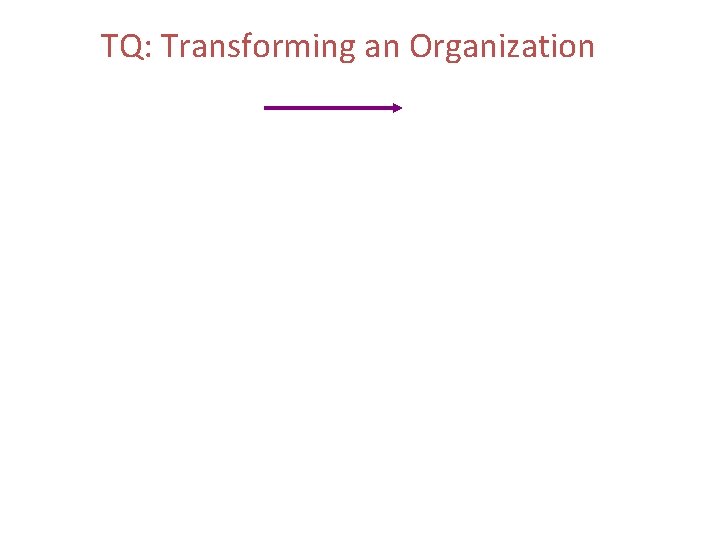 TQ: Transforming an Organization 