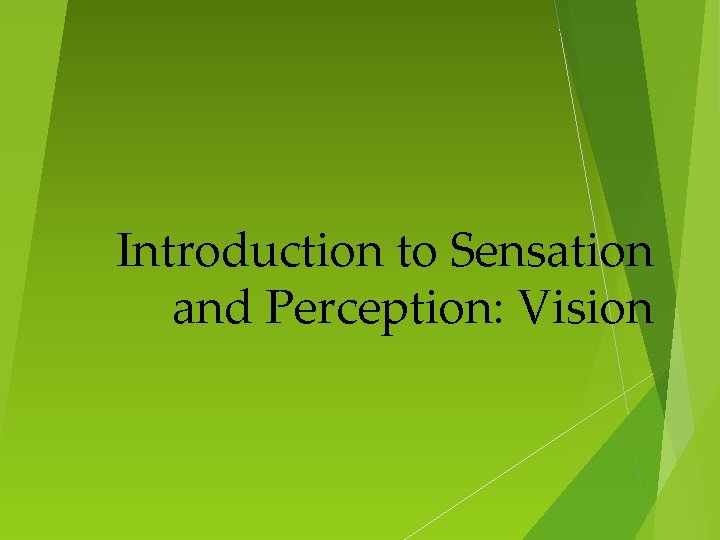 Introduction to Sensation and Perception: Vision 