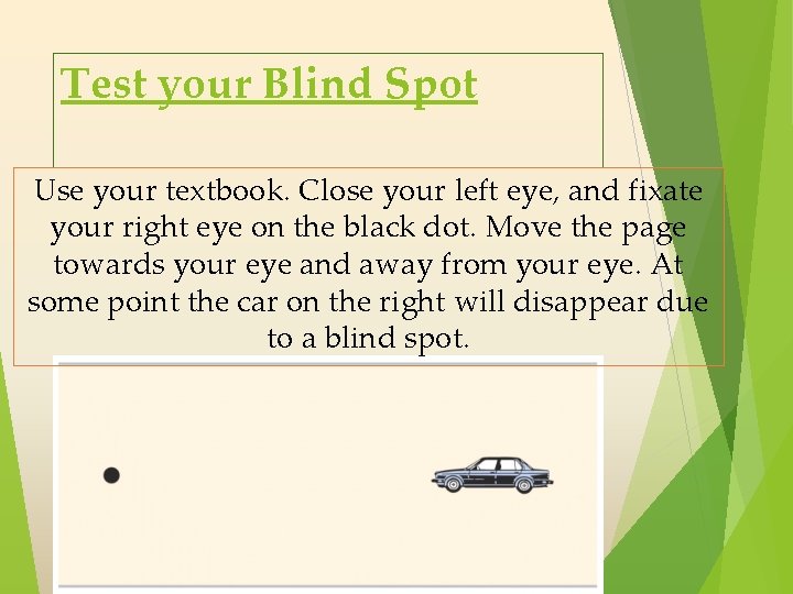 Test your Blind Spot Use your textbook. Close your left eye, and fixate your