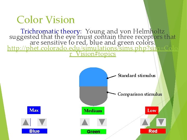 Color Vision Trichromatic theory: Young and von Helmholtz suggested that the eye must contain