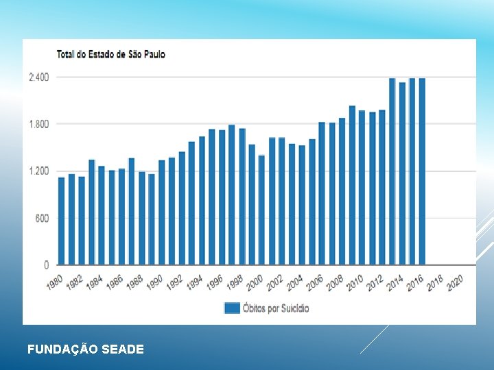 FUNDAÇÃO SEADE 