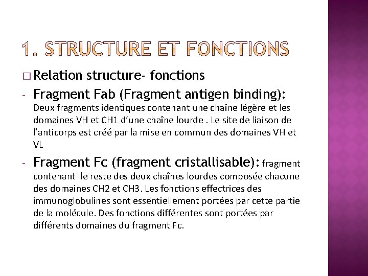� Relation - structure- fonctions Fragment Fab (Fragment antigen binding): Deux fragments identiques contenant