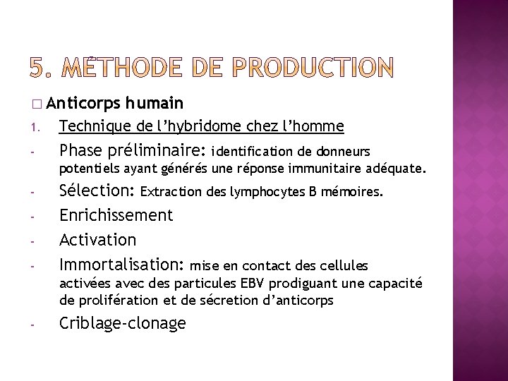 � Anticorps humain 1. Technique de l’hybridome chez l’homme - Phase préliminaire: - Sélection: