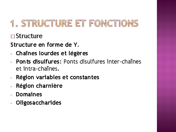 � Structure en forme de Y. - Chaînes lourdes et légères - Ponts disulfures: