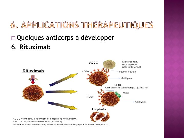 � Quelques anticorps à développer 6. Rituximab 