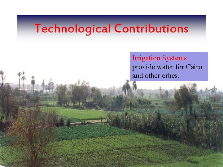 Technological Contributions Irrigation Systems provide water for Cairo and other cities. 