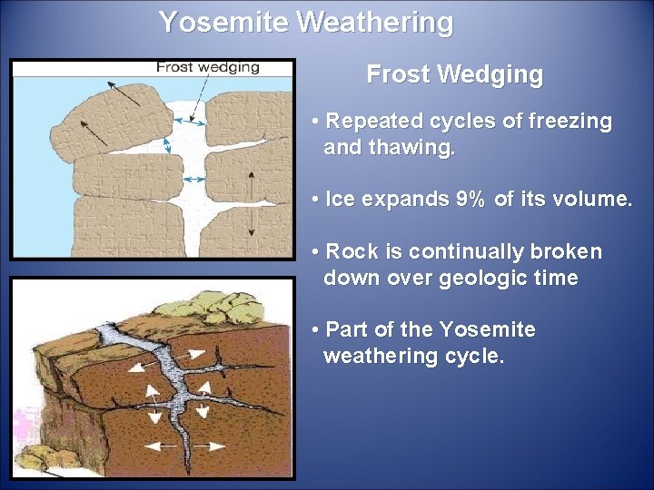 Yosemite Weathering Frost Wedging • Repeated cycles of freezing and thawing. • Ice expands