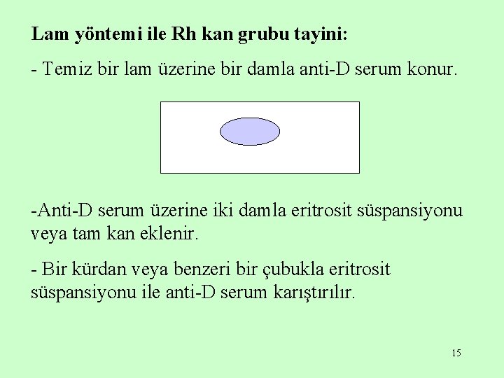 Lam yöntemi ile Rh kan grubu tayini: - Temiz bir lam üzerine bir damla