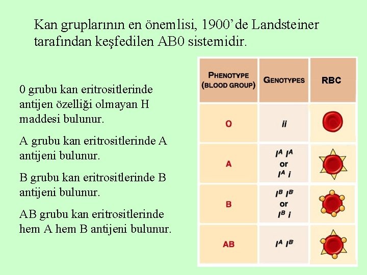 Kan gruplarının en önemlisi, 1900’de Landsteiner tarafından keşfedilen AB 0 sistemidir. 0 grubu kan