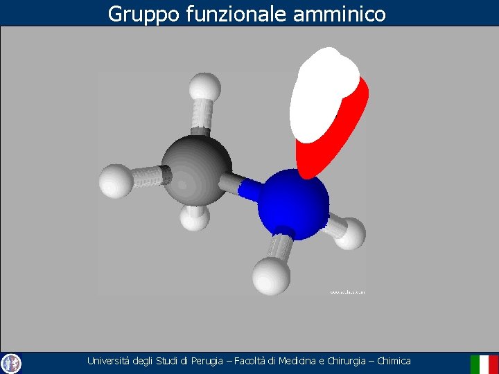 Gruppo funzionale amminico Università degli Studi di Perugia – Facoltà di Medicina e Chirurgia