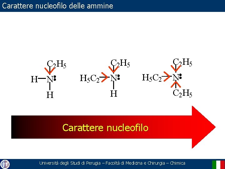 Carattere nucleofilo delle ammine H N H C 2 H 5 H 5 C