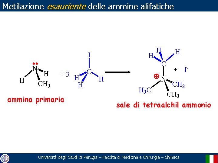 Metilazione esauriente delle ammine alifatiche I N H H CH 3 +3 H C