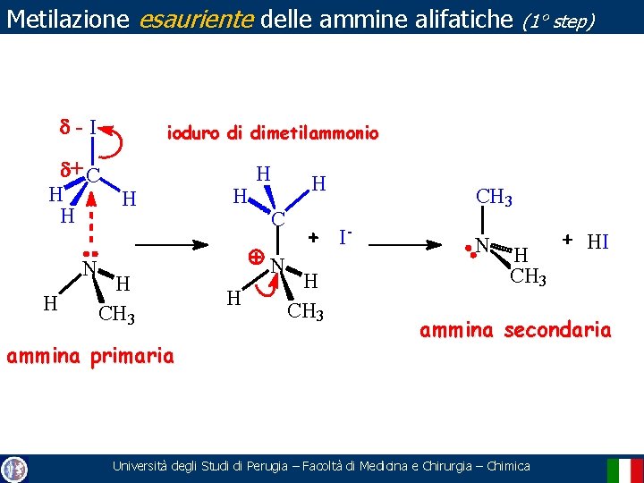 Metilazione esauriente delle ammine alifatiche (1° step) d-I ioduro di dimetilammonio d+ C H