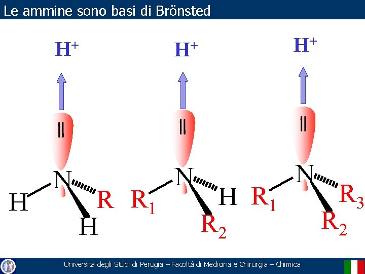 Le ammine sono basi di Brönsted H H+ H+ H+ N N N R