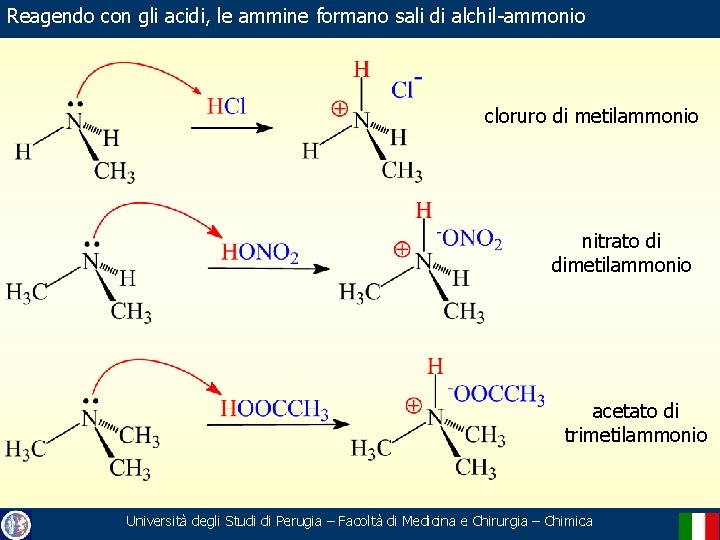 Reagendo con gli acidi, le ammine formano sali di alchil-ammonio cloruro di metilammonio nitrato