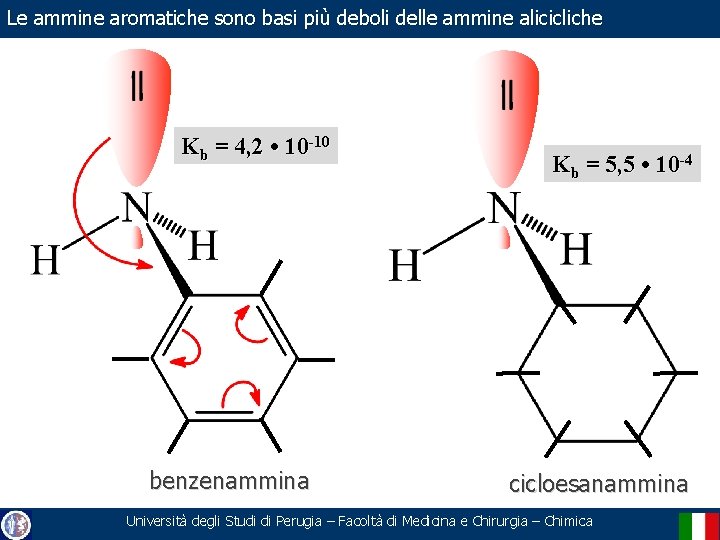 Le ammine aromatiche sono basi più deboli delle ammine alicicliche Kb = 4, 2