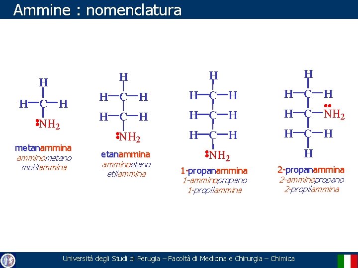 Ammine : nomenclatura H H C H NH 2 metanammina amminometano metilammina H H