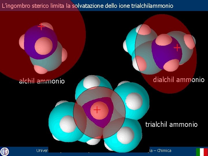 L’ingombro sterico limita la solvatazione dello ione trialchilammonio + + dialchil ammonio + trialchil