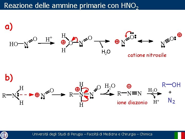 Reazione delle ammine primarie con HNO 2 a) HO N + O H H