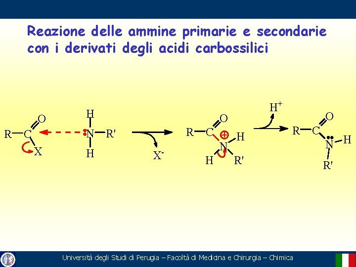 Reazione delle ammine primarie e secondarie con i derivati degli acidi carbossilici O R