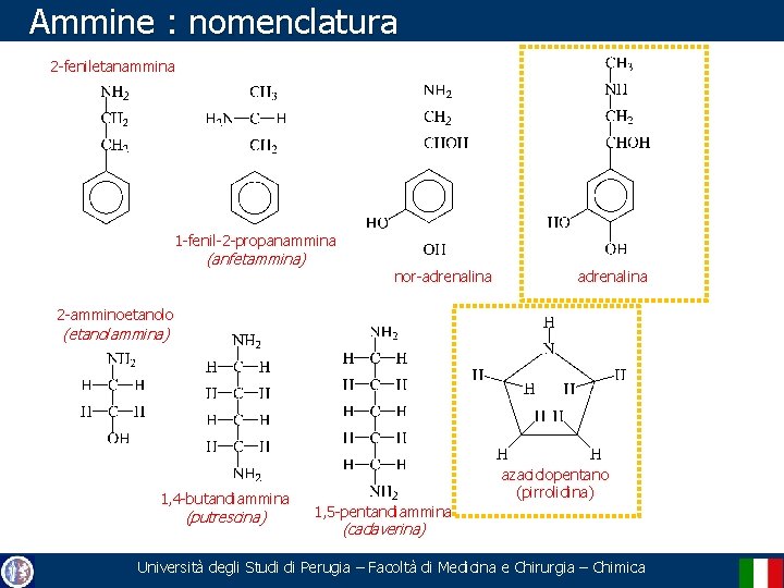 Ammine : nomenclatura 2 -feniletanammina 1 -fenil-2 -propanammina (anfetammina) nor-adrenalina 2 -amminoetanolo (etanolammina) 1,