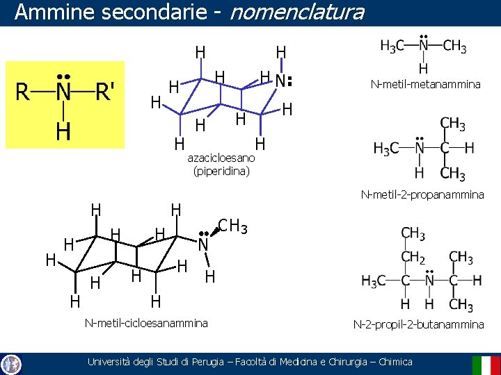 Ammine secondarie - nomenclatura H H H N-metil-2 -propanammina N H H N-metil-metanammina azacicloesano