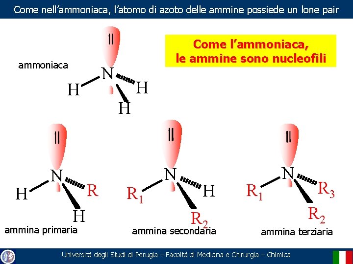 Come nell’ammoniaca, l’atomo di azoto delle ammine possiede un lone pair ammoniaca N H