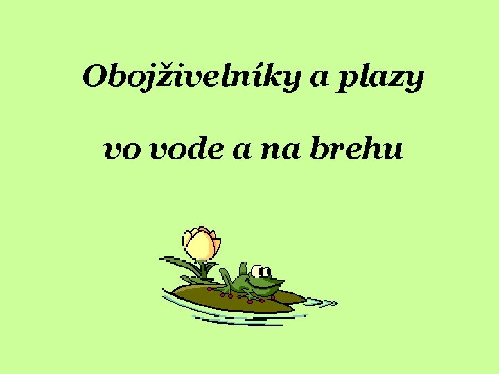 Obojživelníky a plazy vo vode a na brehu 