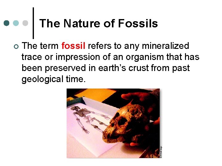 The Nature of Fossils ¢ The term fossil refers to any mineralized trace or