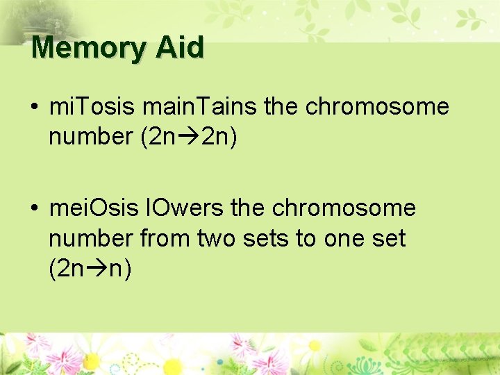Memory Aid • mi. Tosis main. Tains the chromosome number (2 n 2 n)