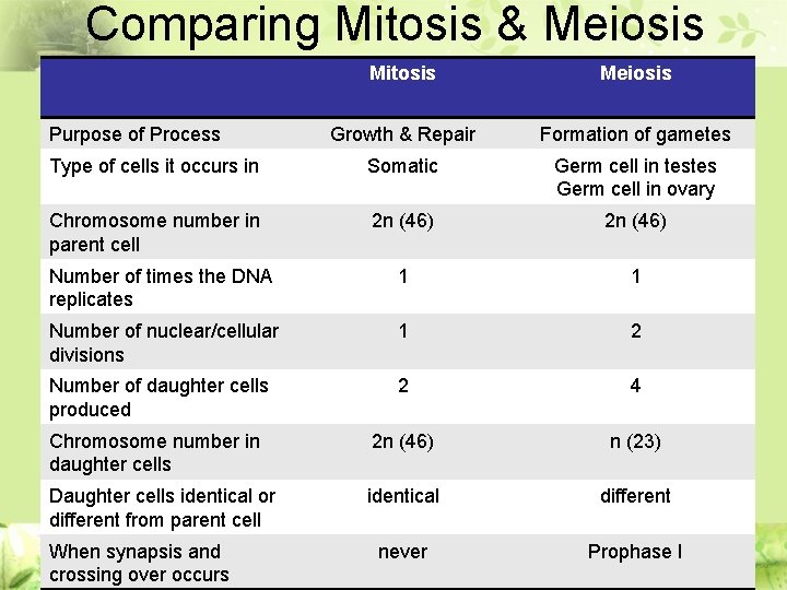 Comparing Mitosis & Meiosis Mitosis Meiosis Growth & Repair Formation of gametes Type of