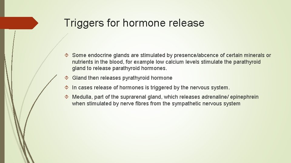 Triggers for hormone release Some endocrine glands are stimulated by presence/abcence of certain minerals