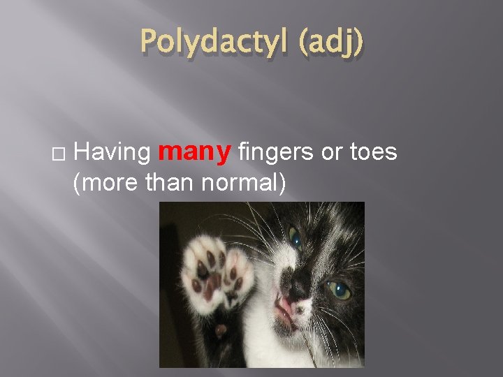 Polydactyl (adj) � Having many fingers or toes (more than normal) 