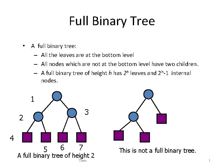 Full Binary Tree • A full binary tree: – All the leaves are at