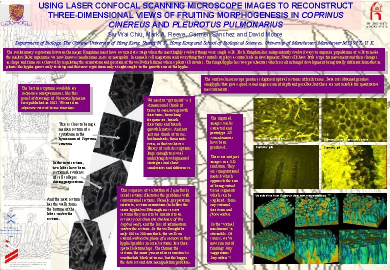 USING LASER CONFOCAL SCANNING MICROSCOPE IMAGES TO RECONSTRUCT THREE-DIMENSIONAL VIEWS OF FRUITING MORPHOGENESIS IN USING LASER CONFOCAL SCANNING MICROSCOPE IMAGES TO RECONSTRUCT THREE-DIMENSIONAL VIEWS OF FRUITING MORPHOGENESIS IN
