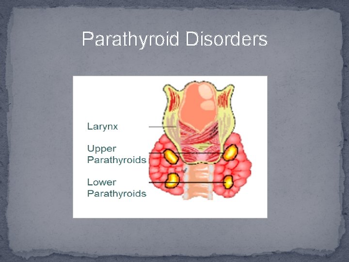Parathyroid Disorders 