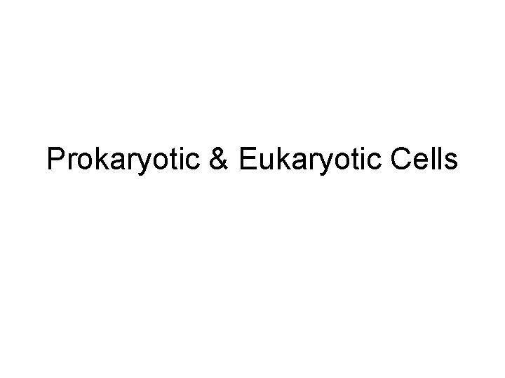 Prokaryotic & Eukaryotic Cells 