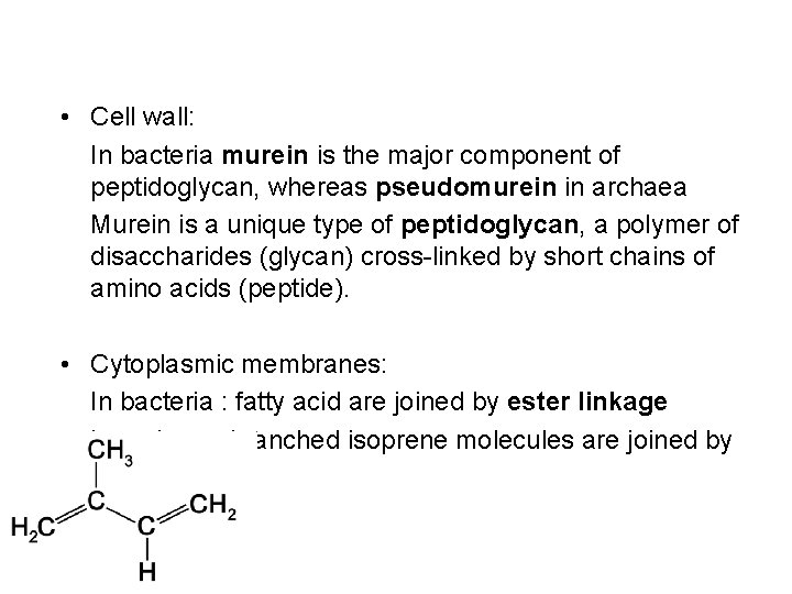  • Cell wall: In bacteria murein is the major component of peptidoglycan, whereas