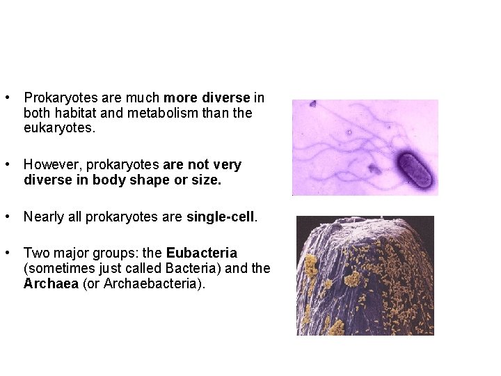  • Prokaryotes are much more diverse in both habitat and metabolism than the